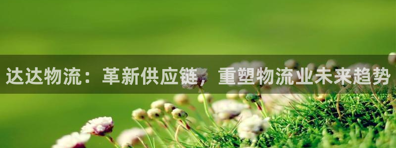 多多28旗下：达达物流：革新供应链，