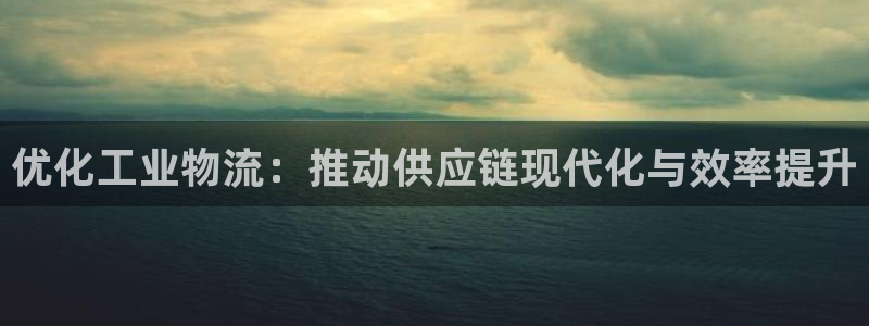 多多28旗下：优化工业物流：推动供应