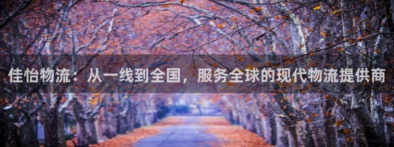 多多28官网平台下载：佳怡物流：从一