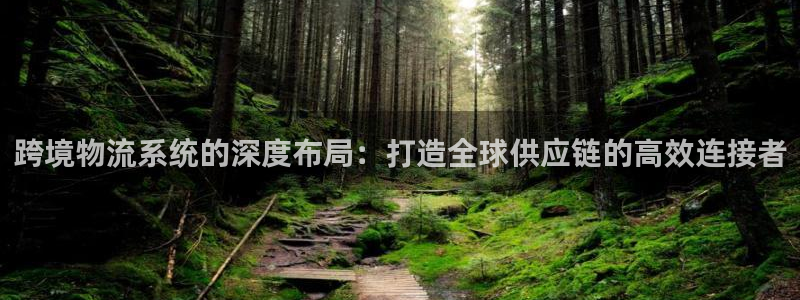 多多28软件是什么：跨境物流系统的深
