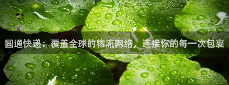 多多28推广链接是多少个：圆通快递：覆盖全球的物流网络，连接