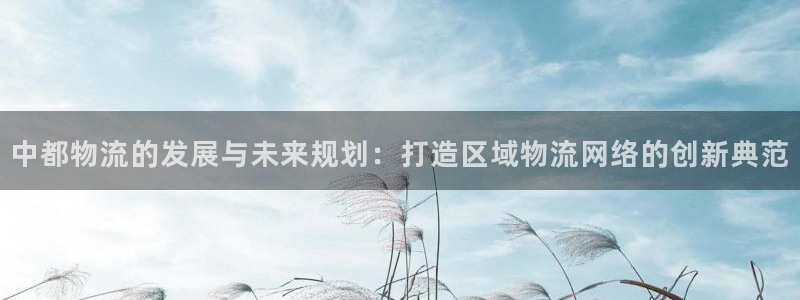 多多28官方：中都物流的发展与未来规