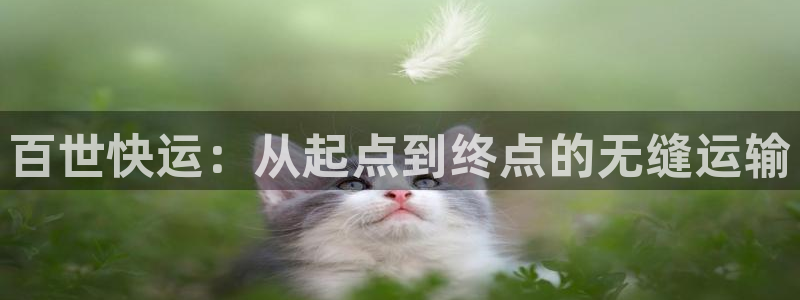 多多28退款教程：百世快运：从起点到