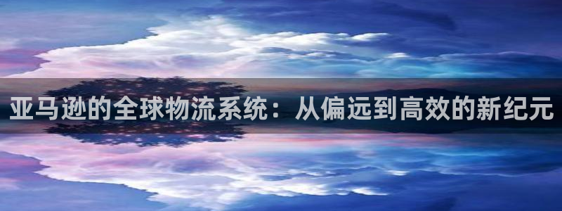 多多28充值方式：亚马逊的全球物流系