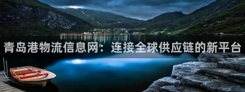 多多28系统自动保护：青岛港物流信息