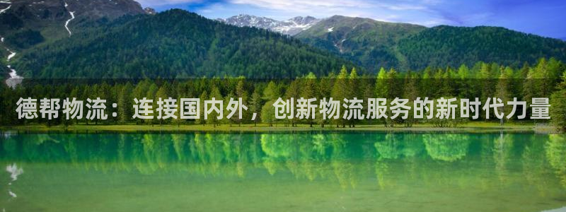多多28加拿大模拟器：德帮物流：连接