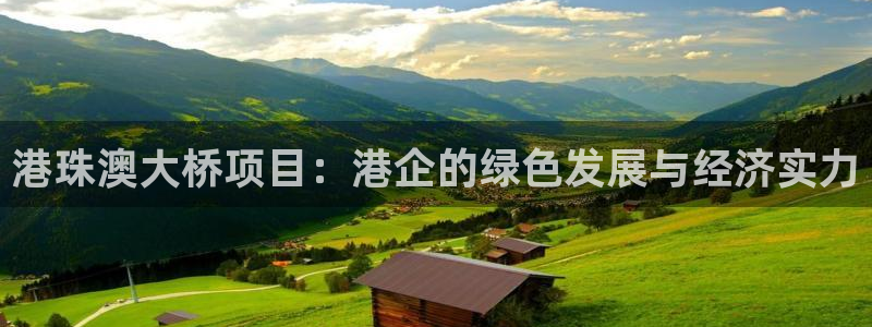 多多28系统自动保护：港珠澳大桥项目