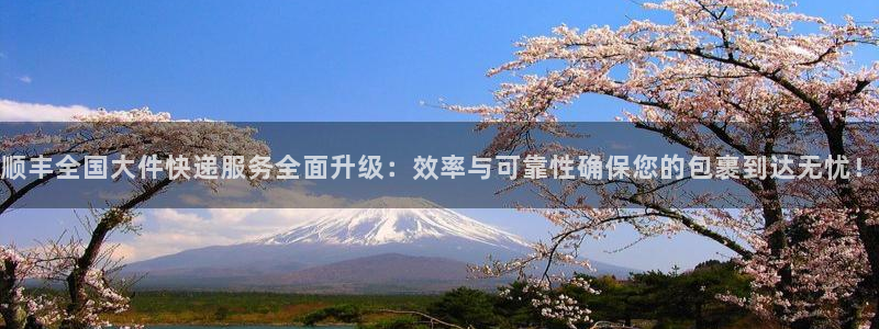 多多28加拿大官网：顺丰全国大件快递