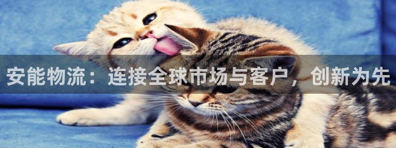 多多28模拟：安能物流：连接全球市场与客户，创新为先
