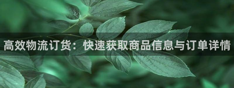 多多28反水怎么算：高效物流订货：快