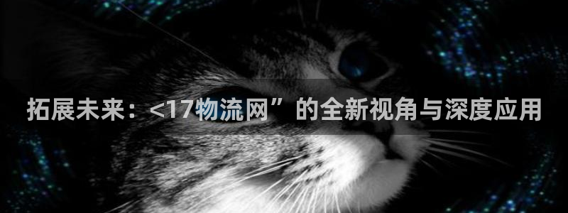 多多28ccm官网版：拓展未来：<1