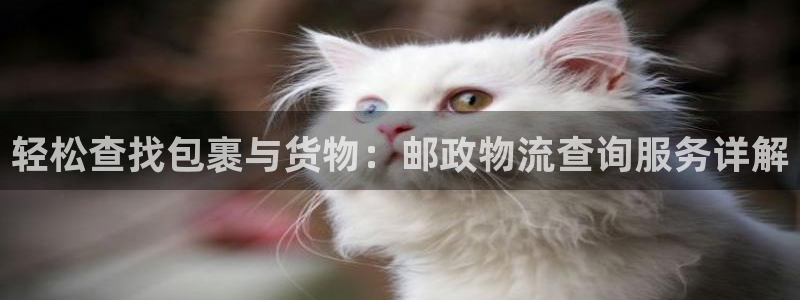 多多28加拿大在线预测：轻松查找包裹