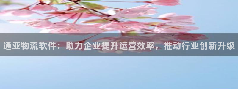 多多28女王中奖记录查询：通亚物流软件：助力企业提升运营效率