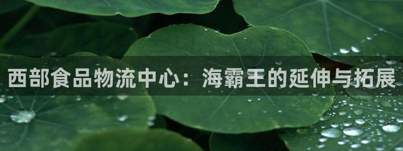 多多28圈：西部食品物流中心：海霸王