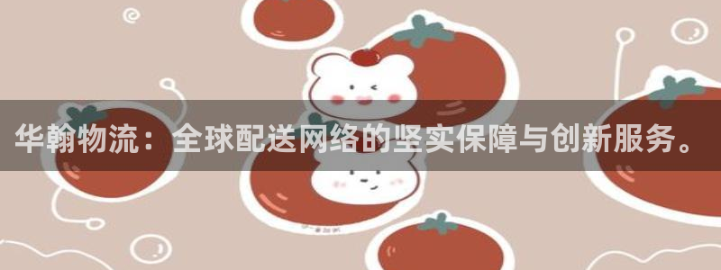 多多28大舞台：华翰物流：全球配送网