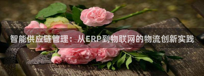 多多28能赢钱吗：智能供应链管理：从