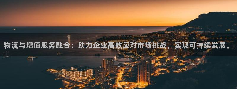 多多28模拟器下载：物流与增值服务融