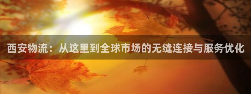 多多28黑款：西安物流：从这里到全球