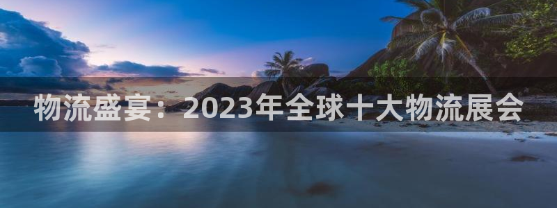 多多28链官网：物流盛宴：2023年