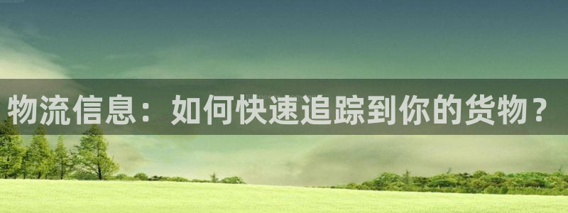 多多28pg麻将胡了：物流信息：如何
