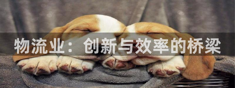 多多28初始密码在哪里修改：物流业：