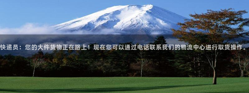 多多28官网入口pc29官网版：快递