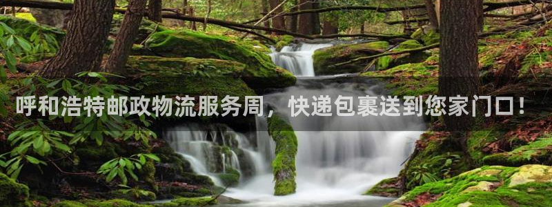 多多28娱乐官网网页：呼和浩特邮政物