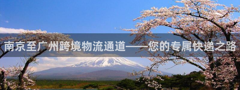 多多28怎么注册游戏名字：南京至广州