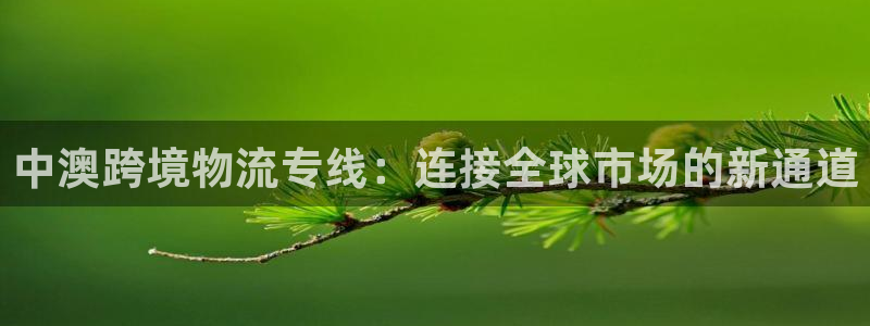 多多28正规吗：中澳跨境物流专线：连