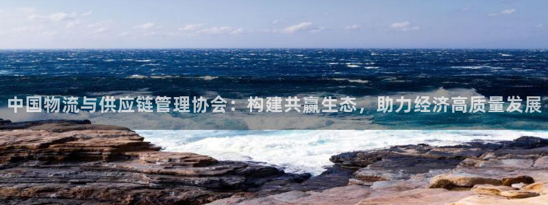 pc多多28怎么注册：中国物流与供应