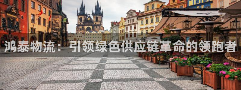多多28aPP退款：鸿泰物流：引领绿