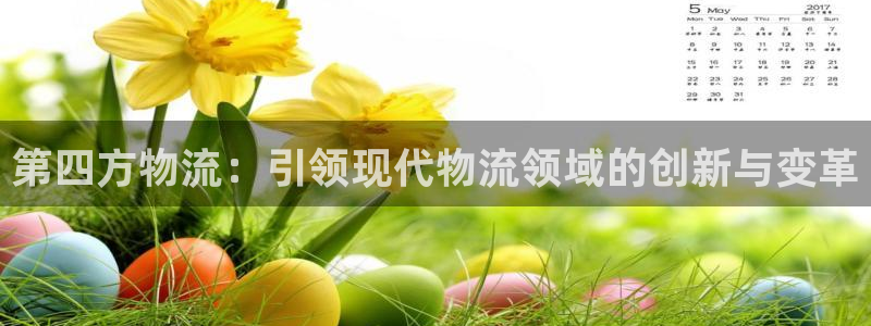 多多28返水怎么算的：第四方物流：引
