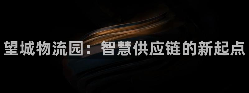多多28稳吗：望城物流园：智慧供应链