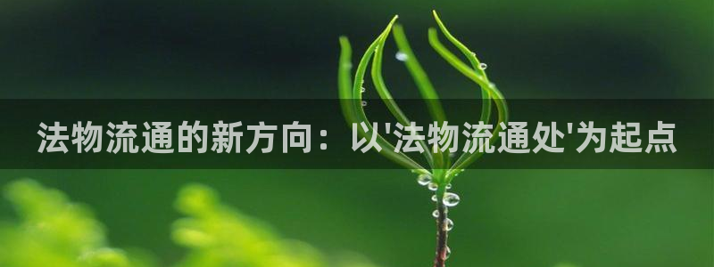 多多28退款：法物流通的新方向：以\