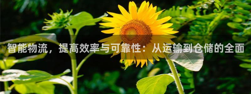 多多28推广链接是多少钱一个：智能物