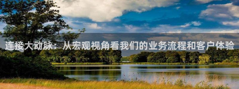 多多28游戏：连接大动脉：从宏观视角