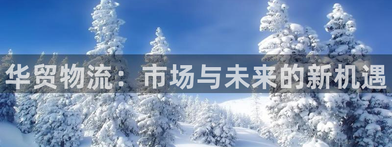 多多28推广链接是多少粉丝：华贸物流