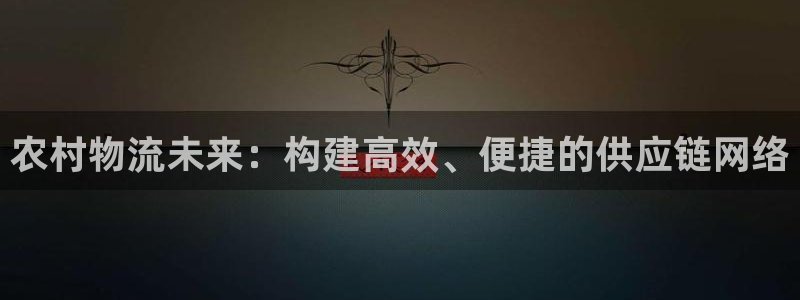 多多28链接来一个：农村物流未来：构
