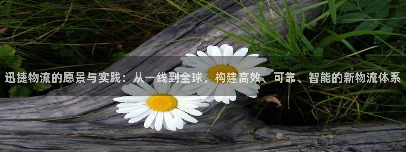 多多28龙虎：迅捷物流的愿景与实践：