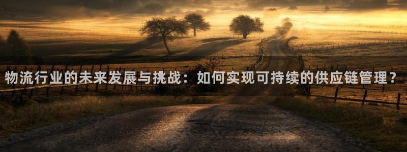 多多28充值不到账：物流行业的未来发