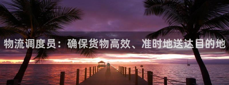多多28注册问一问：物流调度员：确保