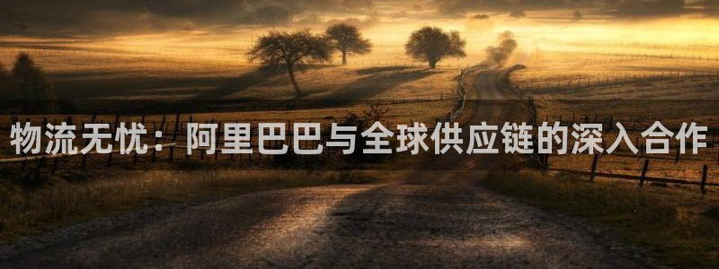 多多28官网入口官网：物流无忧：阿里