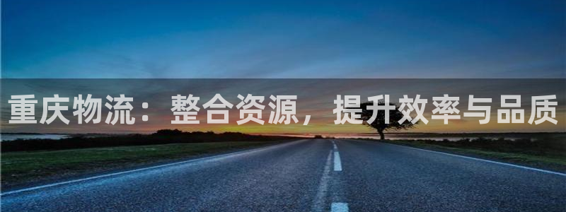 多多28官网入口2024：重庆物流：整合资源，提升效率与品质